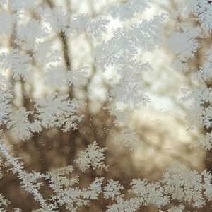 Meet my closest, Alex